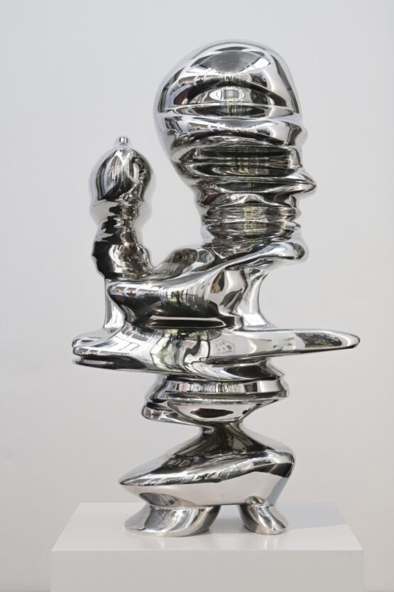 Tony Cragg - Constructor