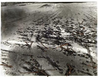 Anselm Kiefer - Fuer Paul Celan Rutengaenger